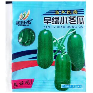 早绿小冬瓜种子毛冬瓜小节瓜迷你水果冬瓜早熟高产四季播蔬菜种子