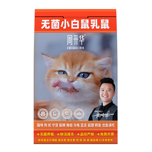 无菌老鼠仔乳鼠冻鼠干猫粮小白鼠速冻喂蛇守宫蜥蜴龟角蛙鬃狮蛇粮