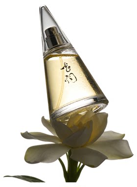 春风十里花词栀子持久淡雅花香水