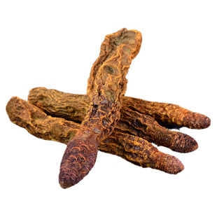 金锁阳中药材小药仙正品内蒙古整根锁阳切片锁阳粉搭肉苁蓉淫羊藿