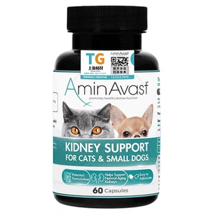 合宠申益宁美国胺肾猫肾衰停猫狗用活肾降肌酐慢性肾衰竭猫肾病用