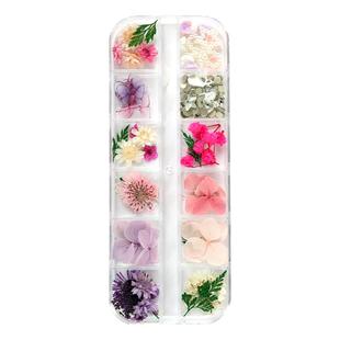 儿童节干花贴脸花瓣脸部贴花拍照小雏菊饰品妆容舞台蝴蝶贴钻珍珠