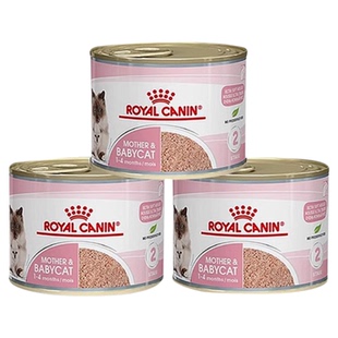 宅猫酱 皇家奶糕猫罐头幼罐头奶糕猫慕斯罐离乳猫孕猫哺乳猫罐头