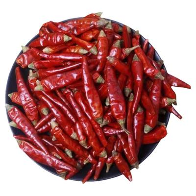 超辣特香贵州满天星干辣椒小米辣