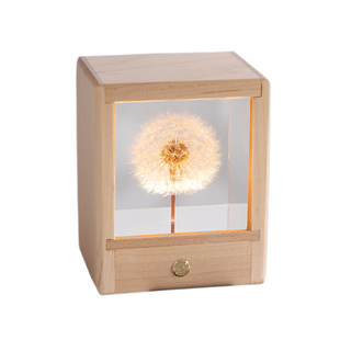 雏菊蒲公英玫瑰鲜花植物标本摆件树脂小夜灯治愈系小物件送男女友