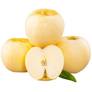 新疆维纳斯黄金苹果顺丰新鲜水果当季送礼礼盒奶油富士甜黄金苹果