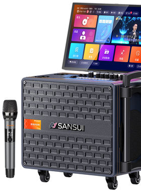 Sansui/山水广场舞音响带显示屏