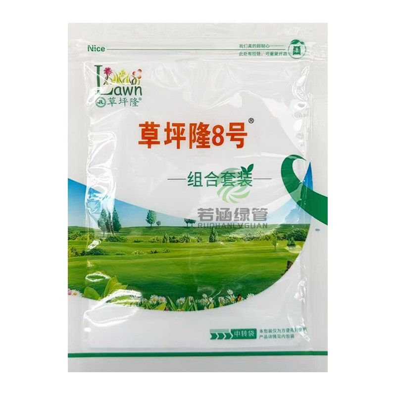 草坪隆8号绿篱小苗茅草芦苇除草