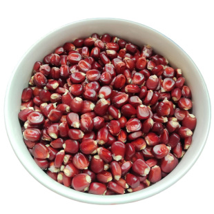 老品种食用灯笼红干玉米粒传统农家贵州传统苞谷粒粗粮生产队时