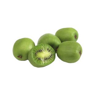 天狼 软枣猕猴桃伊赛 易养护家庭园艺可食用观赏果树果苗