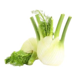 新鲜茴香头香料菜西餐配料调料用品球茎味浓500g茴香菜 蔬菜