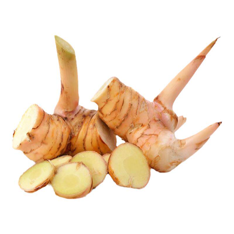 新鲜南姜泰国南姜500g调味香料