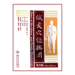 【1m*0.5m】3张 针灸穴位挂图全彩彩图版 正面侧面背面三张耳穴足穴 靳士英人体穴位中医学经络腧穴学书籍人民卫生出版社 针灸易学