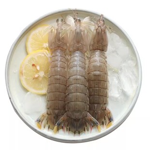 【保鲜不保活】舟山皮皮虾鲜活非全母特大濑尿虾爬海鲜虾蛄富贵虾