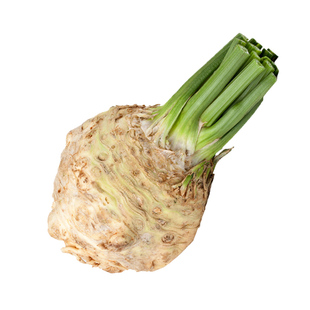 荷兰根芹菜种子苗特菜蔬菜籽种子大全种籽菜种农家四季秋冬孑春季