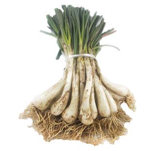 新鲜藠头现挖茭头带叶湖南农家蔬菜教头荞头藠头带根带叶藠头包邮