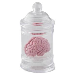 美国Fred&Friends大脑造型THINK AGAIN橡皮爆米花炸鸡腿 创意礼物