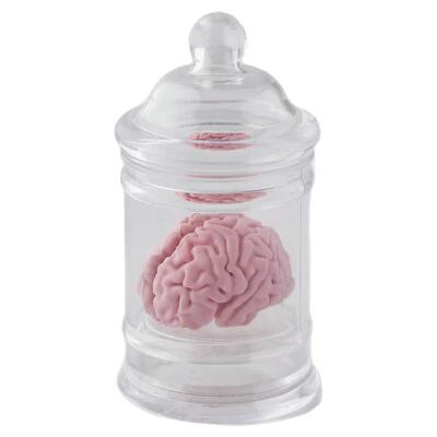 创意造型橡皮大脑炸鸡爆米花