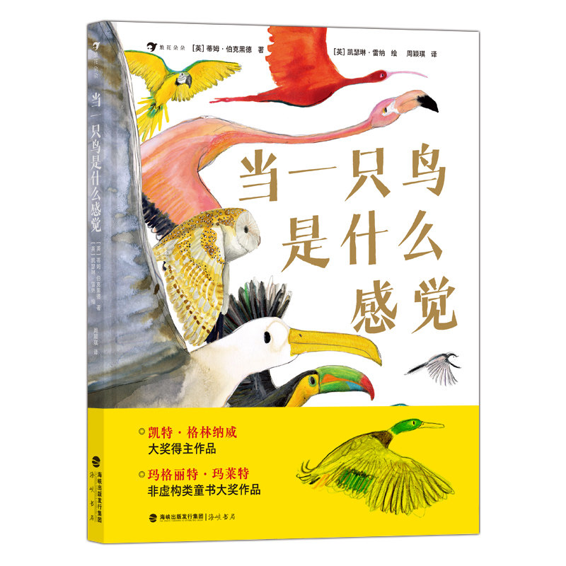 当一只鸟是什么感觉鸟类科普绘本