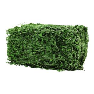 25年苜蓿草绿色紫花牧草兔粮兔子粮食龙猫饲料荷兰猪幼兔豚鼠草料