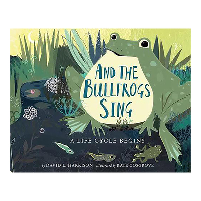 牛蛙的歌声：一个生命循环开始