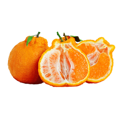 四川不知火丑橘大果9斤现摘现发