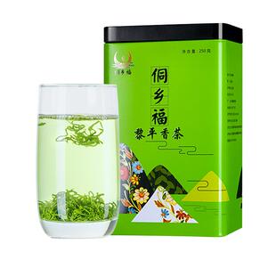 2025新茶上市春茶贵州明前绿茶茶叶毛尖特级黎平香茶250g栗香