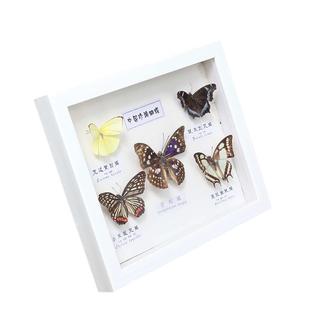 衍纸相框中空2cm相框12寸标本框婴儿手脚印泥相框摆台挂墙A4画框