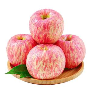正宗山东烟台红富士苹果新鲜水果当季冰糖心栖霞平果10斤礼盒整箱