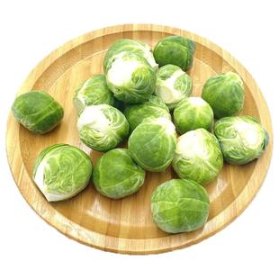 【YIKECAI】孢子甘蓝5斤新鲜蔬菜抱子甘蓝球芽甘兰小包菜小卷心菜