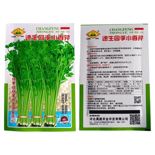 四季蔬菜种子盆栽阳台庭院香菜生菜小白菜菠菜小葱茼蒿籽大全