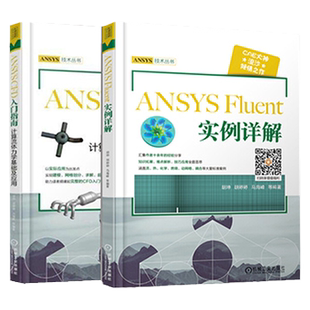 流沙CAE ANSYSCFD入门指南计算流体力学基础及应用+ANSYSFluent实例详解ansys教程书籍ansys教程计算机与互联网辅助ansys fluent
