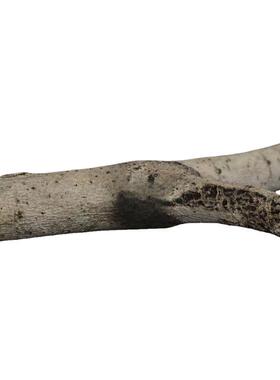 纯银真正彩虹月光石宝石项链镶嵌