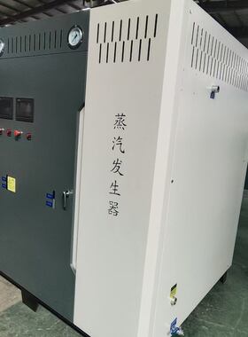蒸煮酿酒药材蒸汽洗车机养护 蒸汽发生器厂家批发电加热蒸汽锅炉