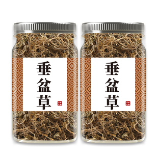 垂盆草中药500g食用正品泡茶中药材批发市场泡水批发干垂盆草作用