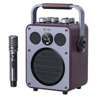 不见不散流浪者D5户外K歌音响无线话筒麦克风一体便携广场舞音箱