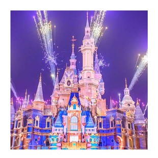 平日不加价 | 上海迪士尼乐园早鸟门票2张+1晚通兑主题酒店+接送