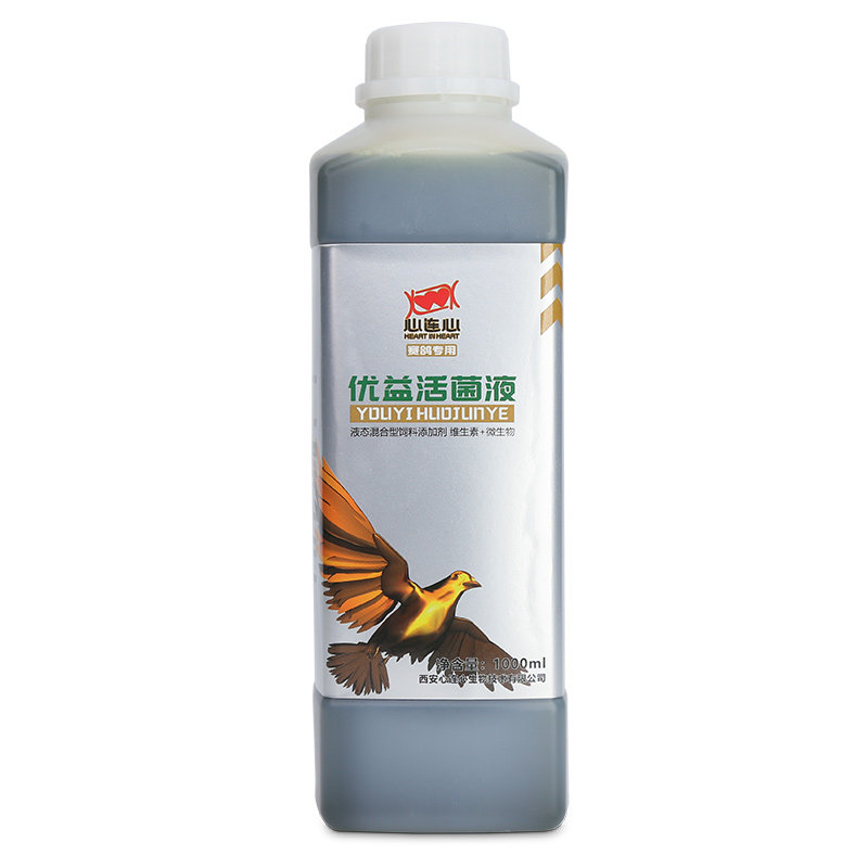鸽子心连心优益活菌液水绿粪调理