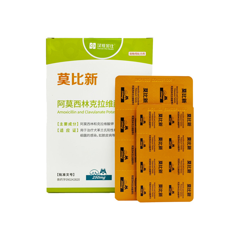 莫比新阿莫西林猫狗消炎药