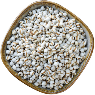 小粒生薏米5斤贵州兴仁小薏米仁新货湿500g*5独立包装去山区气祛