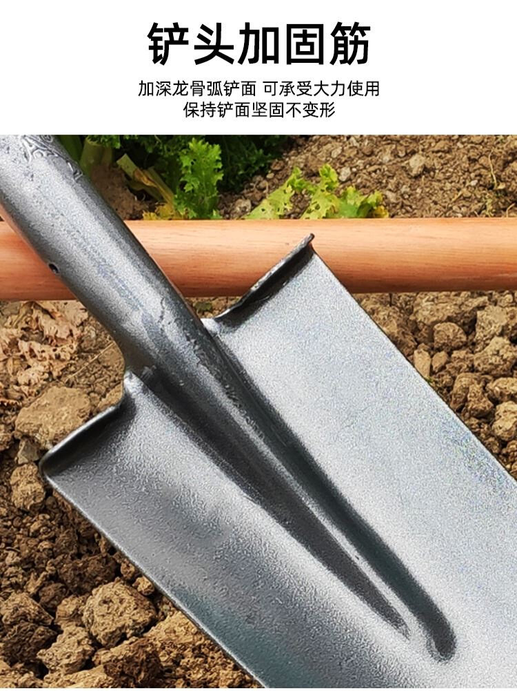 植树节工具菜地起苗挖树的铲子铁锹挖根专用铲园林农用铁铲栽树