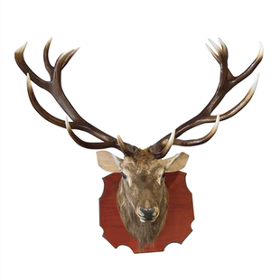 壁挂鹿头复古装饰工艺鹿角梅花鹿头仿真头壁炉挂背景墙装饰鹿