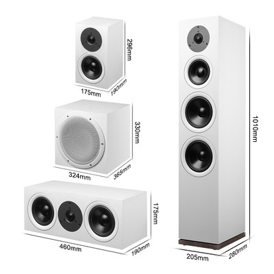 HiVi/惠威 Dynamic160家庭影院环绕音响套装5.1电视客厅组合音箱