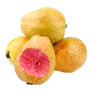 福建红心芭乐水果新鲜包邮低糖减脂中小果翻蕃番石榴软糯巴乐果