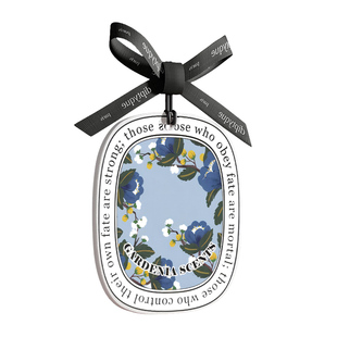 香片衣柜挂片衣服专用持久香薰卡片厕所卧室宿舍衣物车载汽车挂件