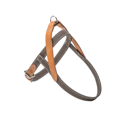 tivoli德国帆布牛皮防爆中大型犬