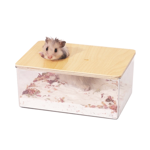 仓鼠厕所浴室金丝熊专用除臭尿砂盆全透明防飞溅洗澡浴沙沐浴用品