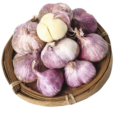 云南紫皮蒜元宝蒜三丫非独蒜