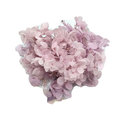 Diy暴力熊花瓣绣球贴脸化妆相框