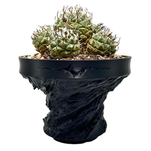 日式块根花盆龙舌兰龟甲龙潮流3d打印盆多肉植物黑色透气造型花盆